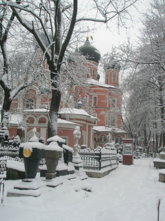 Зима в Донском монастыре
